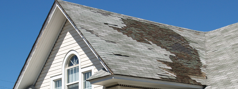 Roof Storm Damage Repair in Alliston, Ontario