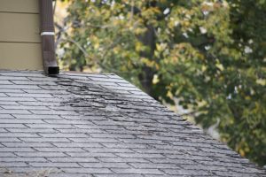 Proper roof maintenance can extend the lifespan of your roof
